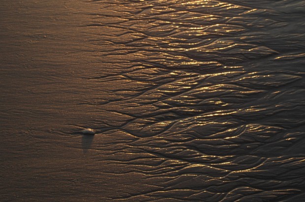 Edisto Beach Sunrise