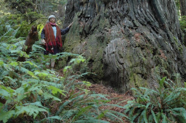 nal Forest, CA (10.29.13)