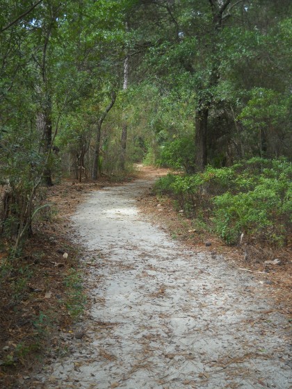 Edisto Island, SC (10.17.12)