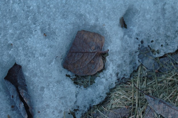 Cold at Dawn (4.3.14, Anchorage, Ak)