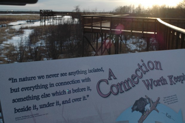 Evening at Potter Marsh (4.3.14, Anchorage, Ak)