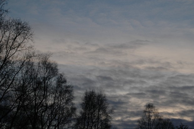 Dawn (4.5.14, 7:20 am, Anchorage, AK)