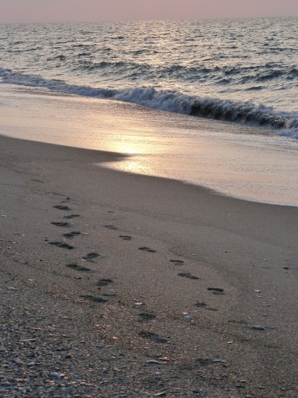 Sunrise at Edisto Beach, SC (5.25.14)