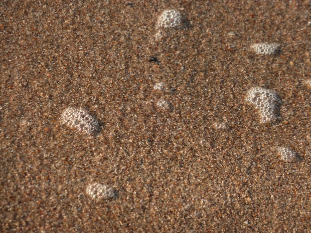 Edisto Beach, SC, 5.26.14