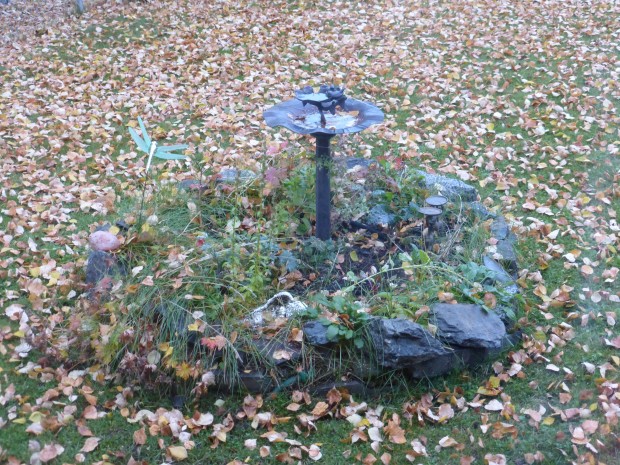 Kathy's garden on the first day of real snow on the mountains (10.4.14, Anchorage, AK)