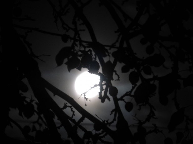 Waxing Moon (4:11 am, 10.6.14, Anchorage, Ak)