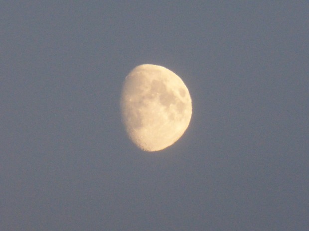 Beaver Moon, Sassafras Moon, Dark Moon, Snow Moon... (11.2.14, Anchorage, Ak)