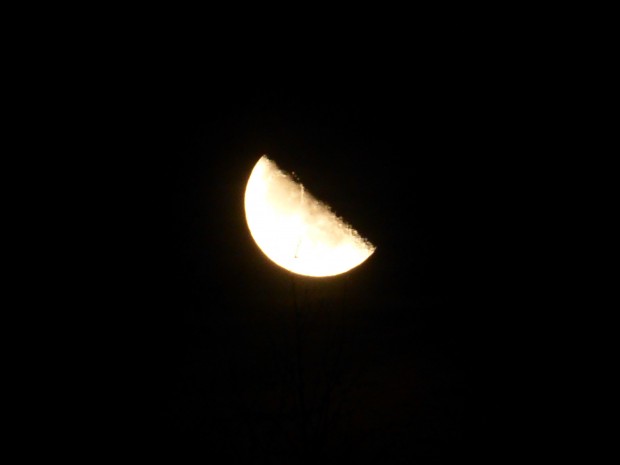 Waning Moon (1:06 am, 11.14.14)