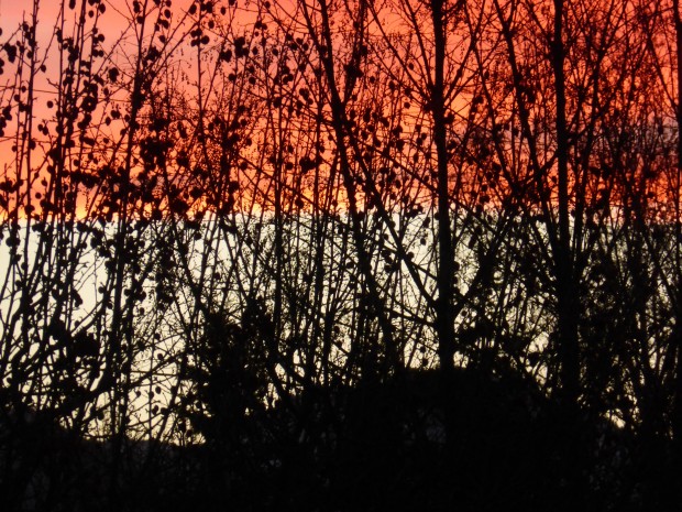 Chugach sunrise (8:53 am. 11.15.14, Anchorage, Ak)