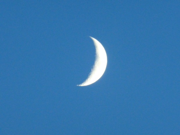 Waxing moon (4:40 pm, 11.26.14, Anchorage, Ak)
