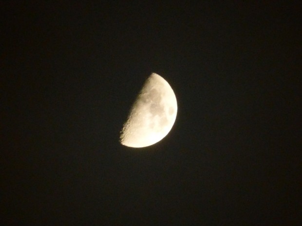 Waxing moon (7:43 pm, 11.29.14)