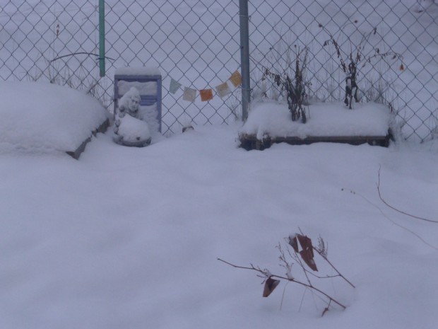 St. Frances in winter (5:10 pm, 1.23.15, Anchorage, Ak)