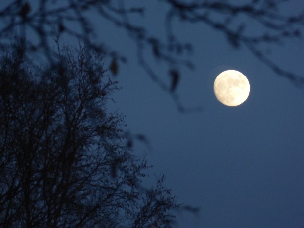 St. Brigid's Day moon (5:24 pm, 1.1.15, Anchorage, Ak)