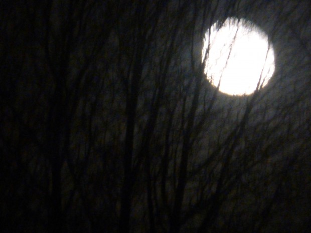 Waning moon (10:03 pm, 2.6.15, Anchorage, Ak).