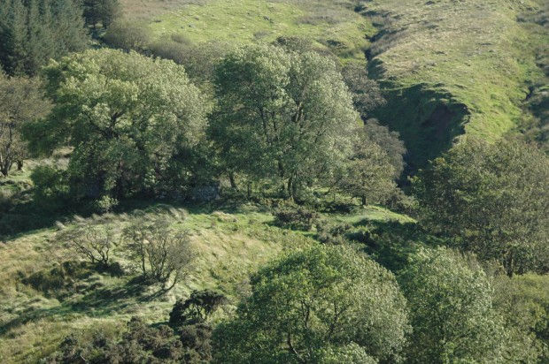 Hills of County Antrim, Northern Ireland, September 2011)