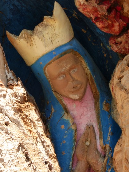 Mary in a tree, New Mexico (4.6.15)