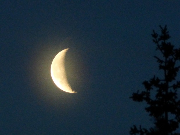 Waning moon-- 7.10.15, 3:13 am, Anchorage, Ak