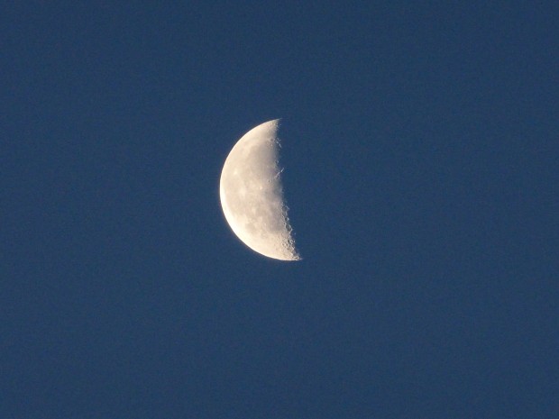 Morning Moon-- 5:44 am, 8.7.15, Anchorage, Ak