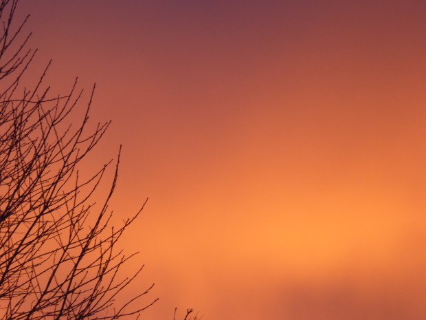 Sunrise-- 1.19.16, Anchorage, Ak